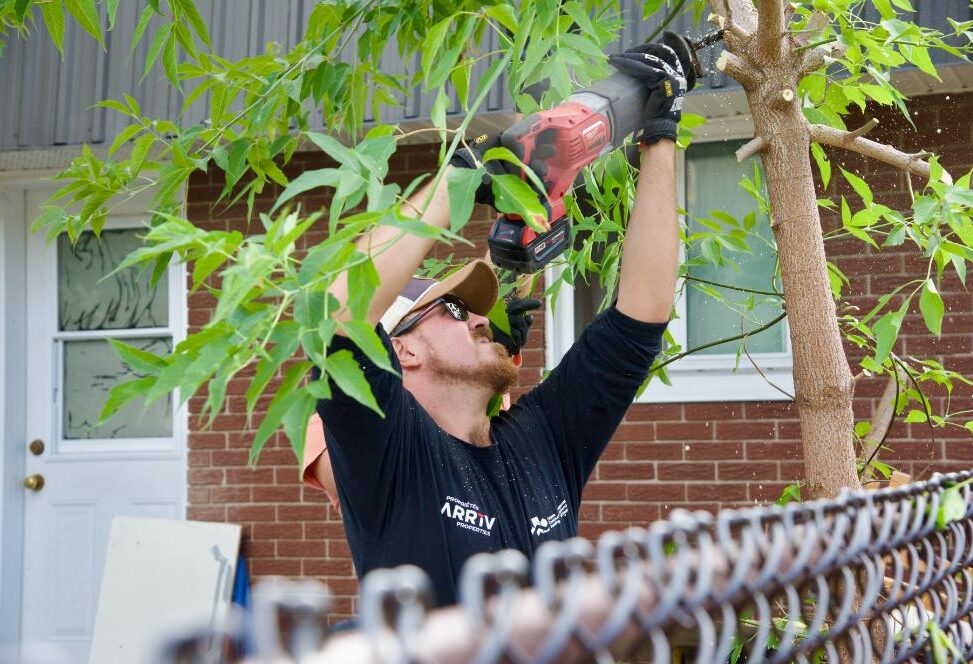 _lui6329_54742856722_o